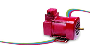 Flame Proof Motors